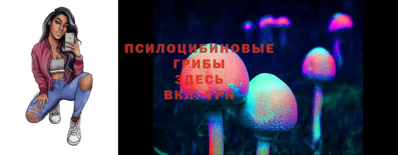 продажа наркотиков  Гаджиево  Псилоцибиновые грибы Cubensis 